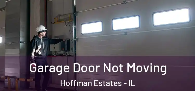  Garage Door Not Moving Hoffman Estates - IL