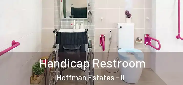 Handicap Restroom Hoffman Estates - IL