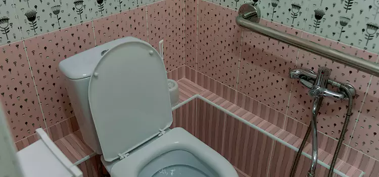 Meeting Diverse Needs With Accessible Restroom Solutions in Hoffman Estates, IL