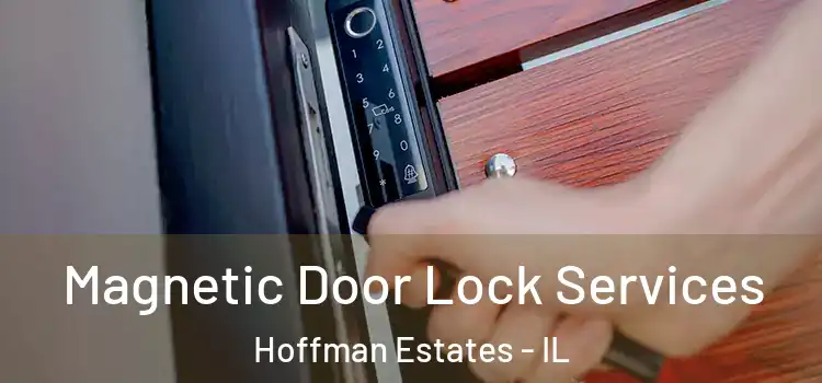 Magnetic Door Lock Services Hoffman Estates - IL